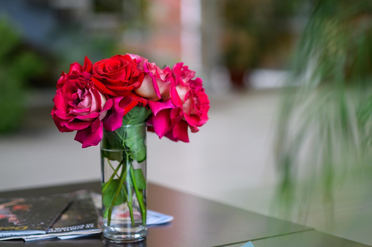Hotel Torontal 3* Timisoara